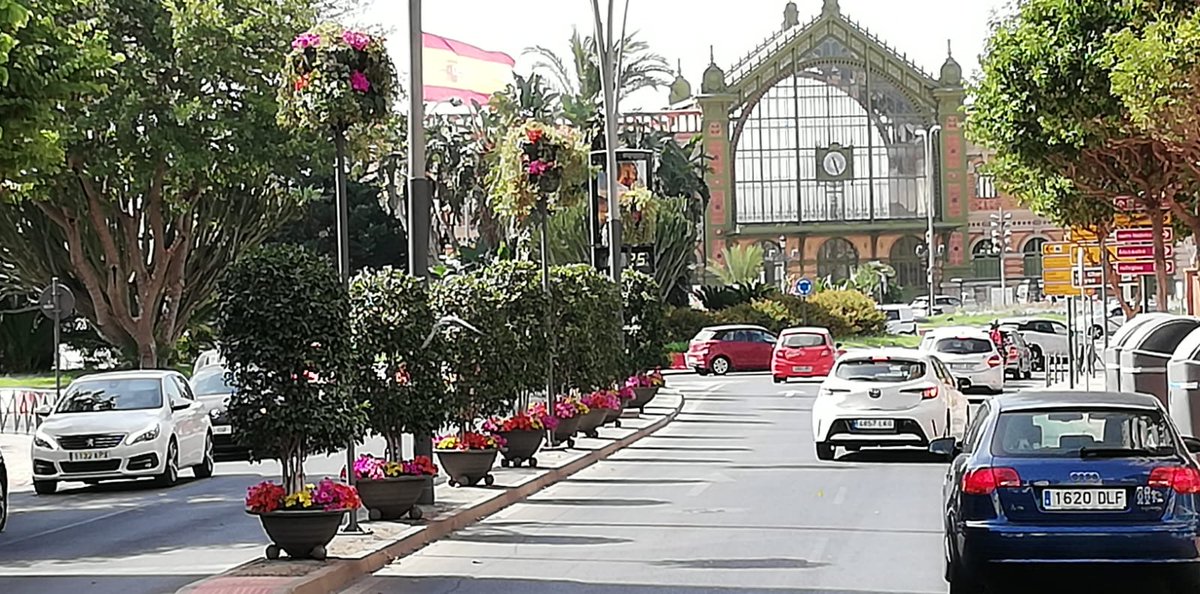 JardinesAlmeria's tweet photo. 🪷🌼🌺 Color, color y más color.
La ornamentación floral de la ciudad a con motivo de la #FeriadeAlmería nos deja multitud de rincones tan coloridos como los de estas fotos. Hay mucho más, descúbrelos.
@aytoalm #ParquesyJardines #JardinesdeAlmería 🏰🌴 #PlanBotania 🌿 https://t.co/sYGyHt50l4