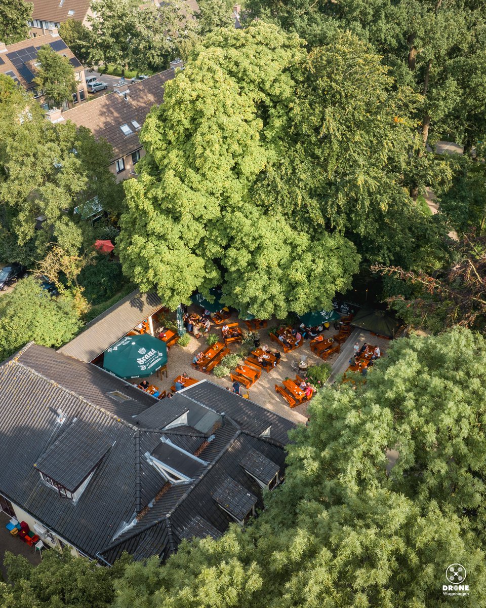 dronewageningen's tweet photo. During the VrijMiBo (friday
afternoon drinks) I made some pictures for @cafeonderdelinden📸 It's one of the oldest cafés of the Netherlands with a beautiful garden and distillery🍻 Have you been there already?🌳
#cafeonderdelinden #lindentree #beergarden #wageningen https://t.co/UMKlDEldXf