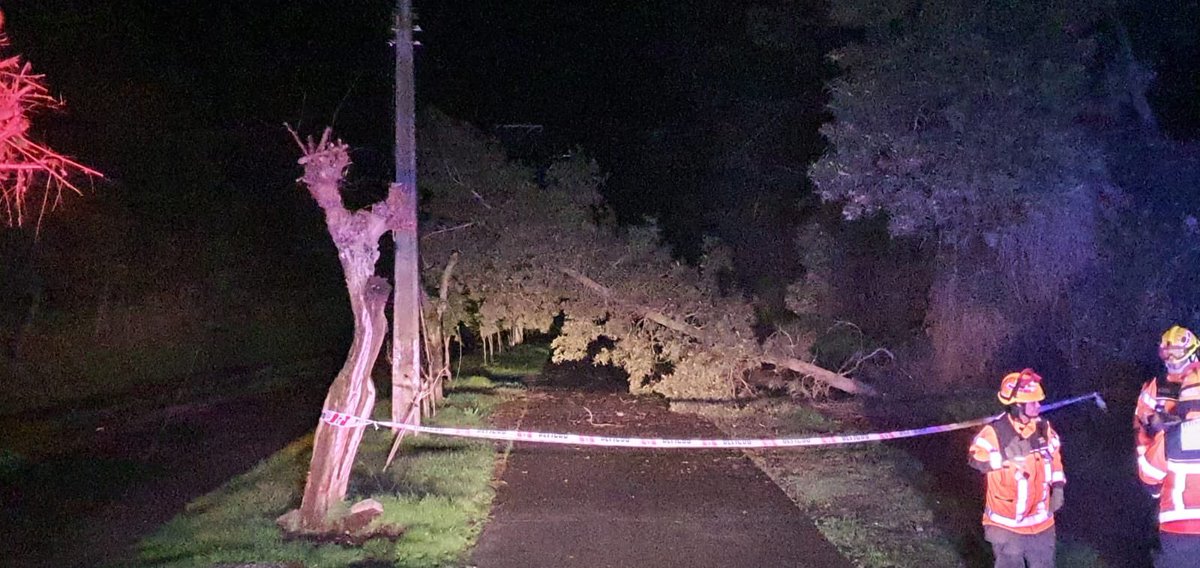 COMUNA DE ROMERAL |  Vuelve la lluvia y El Fuerte viento por el nuevo #SistemaFrontal  con caídas de árboles #Bomberos  #Romeral trabaja en el despeje de calles y caminos. #Curico #PrecaucionVial  <a href="/biobio/">BioBioChile</a> <a href="/ALERTADESISMO/">⚠️ALERTA DE EMERGENCIA ⚠️</a>