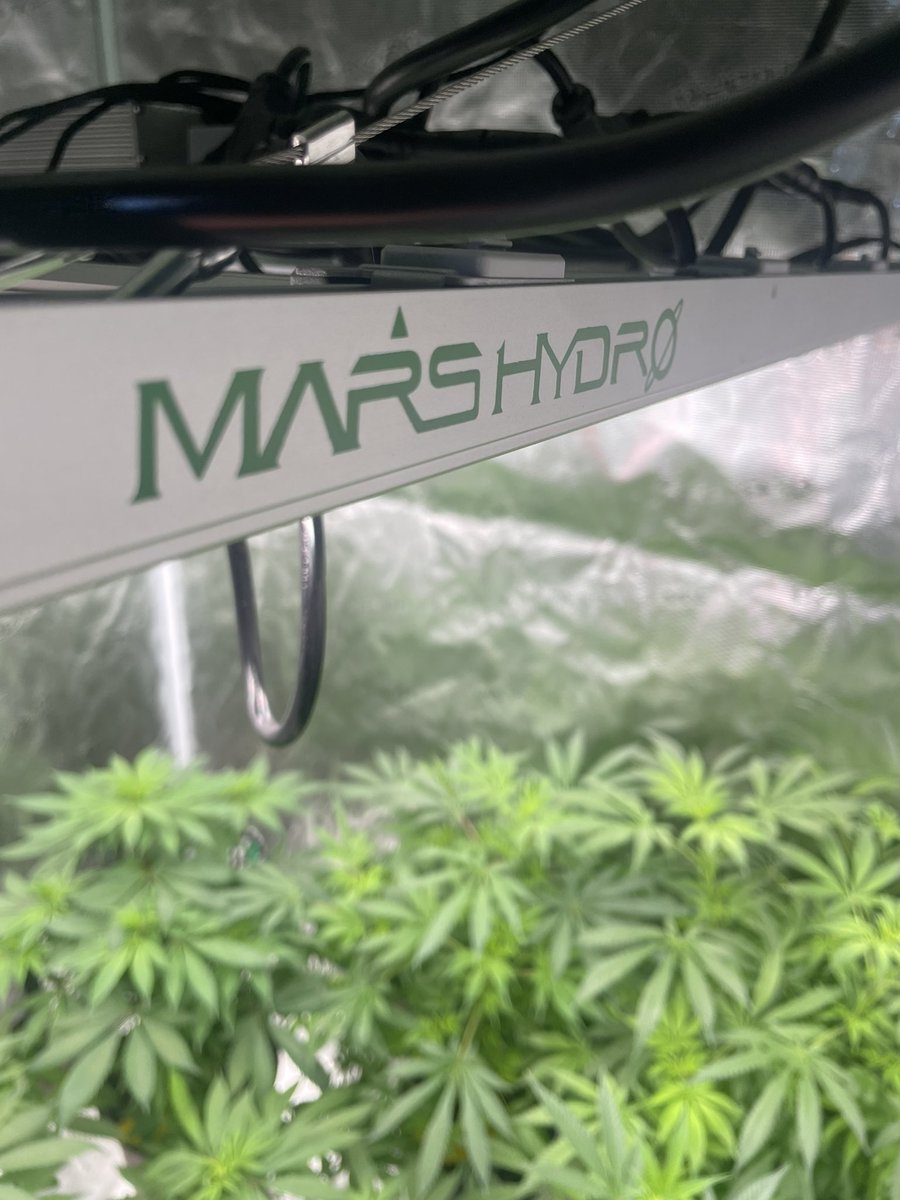 Let’s talk lights…

If you need to add a light to your 4x4 tent, would you rather choose the MARS HYDRO FC4800 or the FC-E4800?

Check ‘em out….  Good things coming…