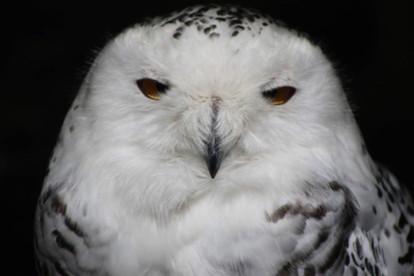 Monday morning vibes, slowly waking up caffeine pending 😂