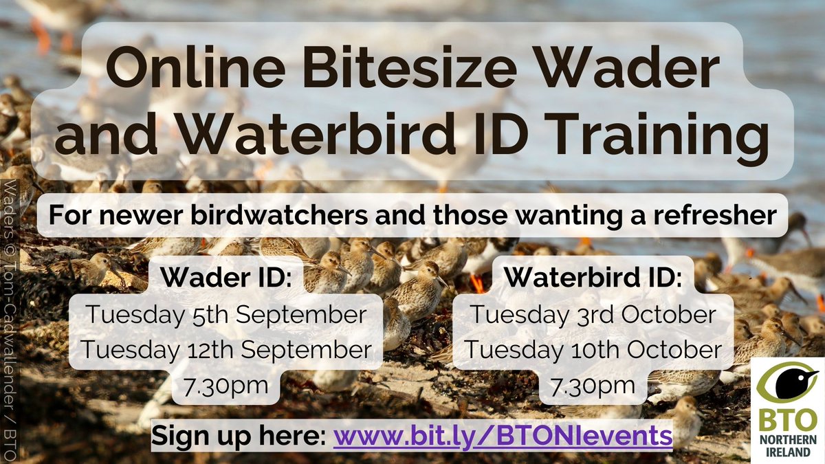 BTO Armagh Region tweet media