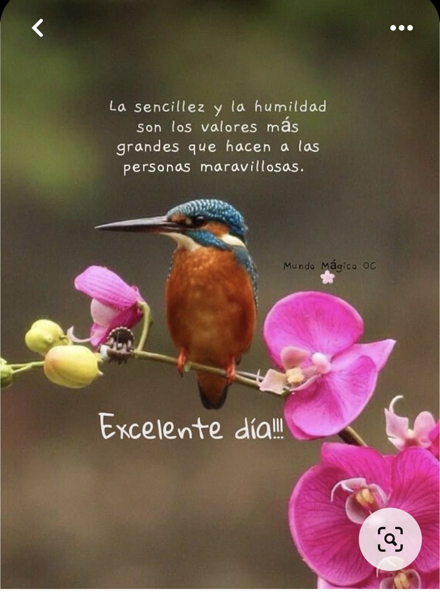 🌹🌹DESEO 🌹CON TODO 🌹MI CORAZÓN 🌹PASES 🌹UN FELIZ DÍA🌹