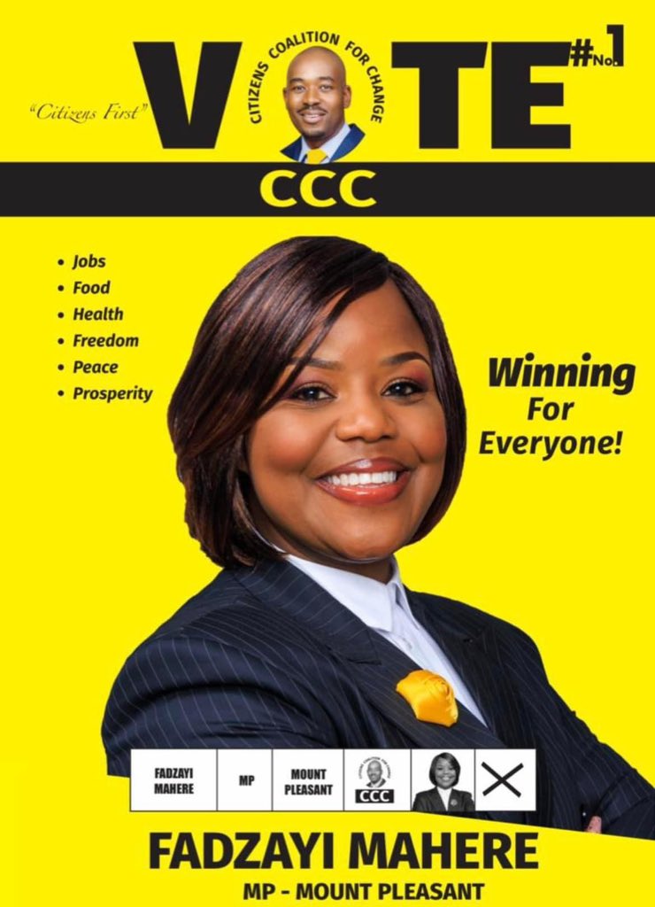 Fadzayi Mahere🇿🇼 tweet media