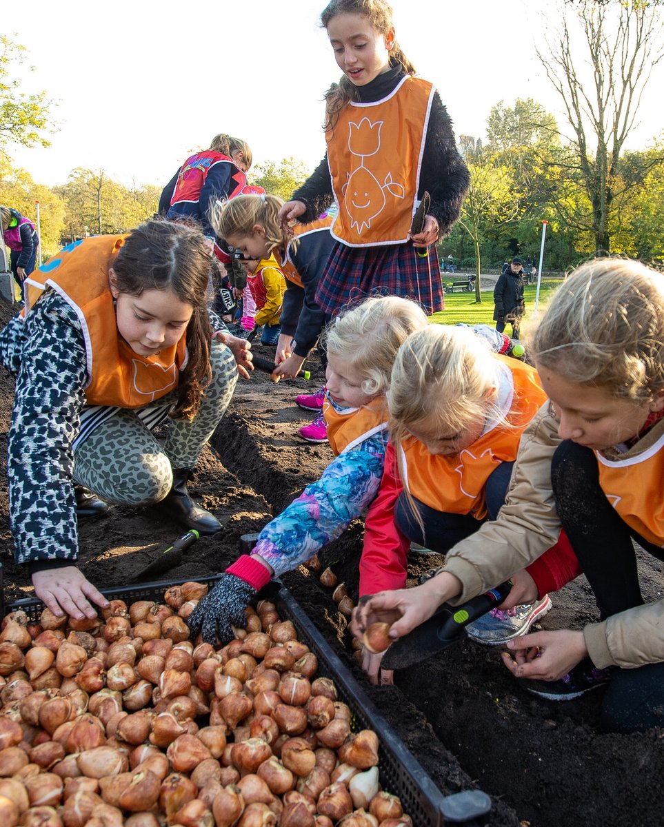 Bulbs4Kids_NL tweet media