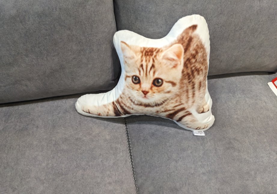 bitcoiner tweet media