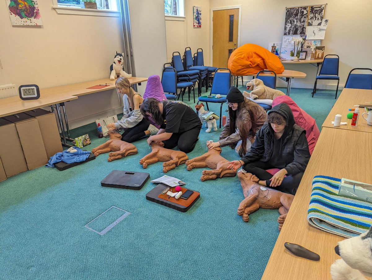 EdinDogCatHome's tweet image. Our #DogFirstAid team had an amazing time last week at the @bridgespro1 , teaching a private group. It's always great to share our knowledge and help keep our furry friends safe! 🐶 
 
For more information or to book your course, visit: edch.org.uk/services/dog-f… 🐾