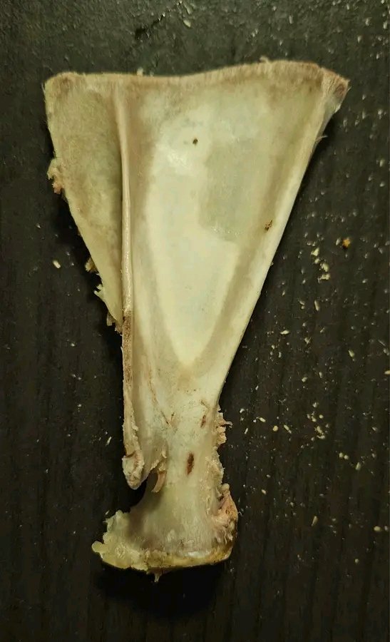 kingsleysikei's tweet photo. Mlisema hiii born  inaitwa  ulna ama https://t.co/TEMUM41i9r