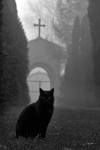 elLuchi02's tweet photo. ABRO HILO SOBRE ALGUNOS MISTERIOS QUE AUN NO FUERON RESUELTOS #misterios #sinresolver https://t.co/KX0GRS0xzv