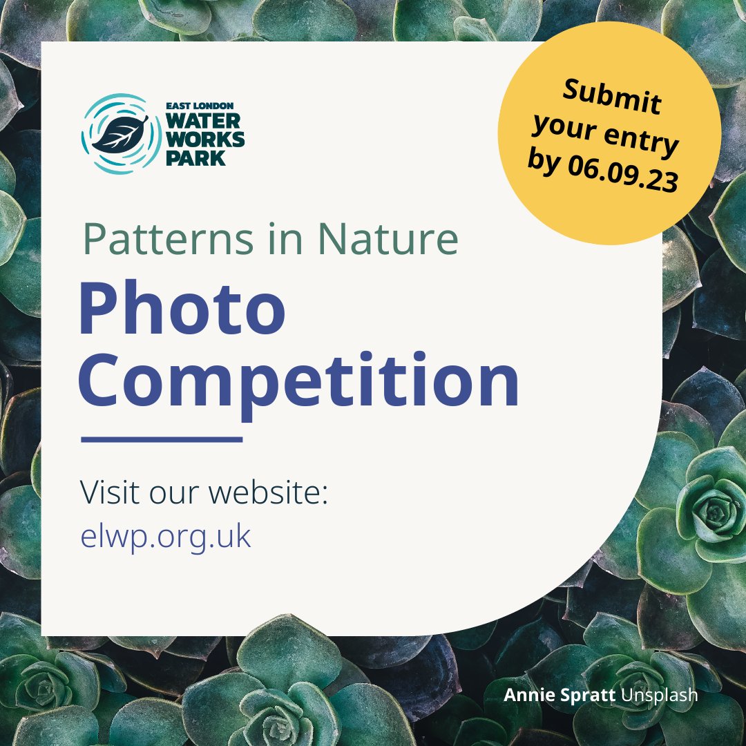 ELWaterworks's tweet photo. Have you got beautiful photos of #Nature that you'd like to enter into our photo competition? It runs until 6th Sept.

It's simple to enter! All details on our website: https://t.co/ikKDR7QYrD

#photography #NaturePhotography #PatternsInNature https://t.co/G3l8AsmV3i