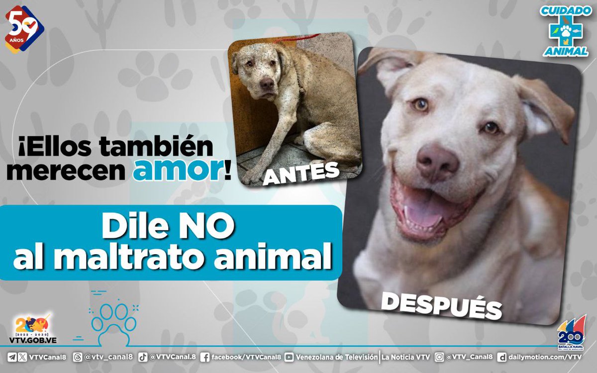 #NoAlMaltratoAnimal🐾| Los animales son seres especiales que comparten con nosotros el planeta, muchas veces expresan sentimientos y comparten vínculos con las personas, por eso lo mejor que podemos ofrecerles es todo nuestro amor.

#ConversaítoConMaduro