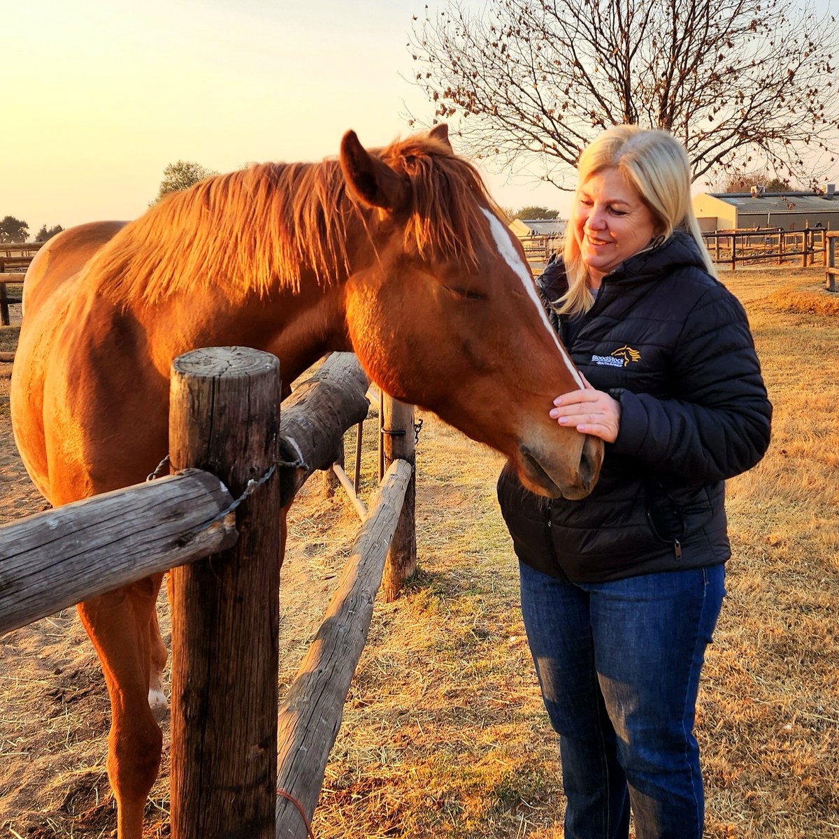 ThoroughbrdTale's tweet photo. We start our South African racing journey embracing the early morning with the wonderful Diane De Kock 🐎🌟 Born into racing, Diane brings elegance and skill by training the next generation of champions at @MdkRacing 🏆

#ThoroughbredTales #HorseRacingLovers #MDKRacing 
@Safgirl2 https://t.co/J3Bt7a7jeK