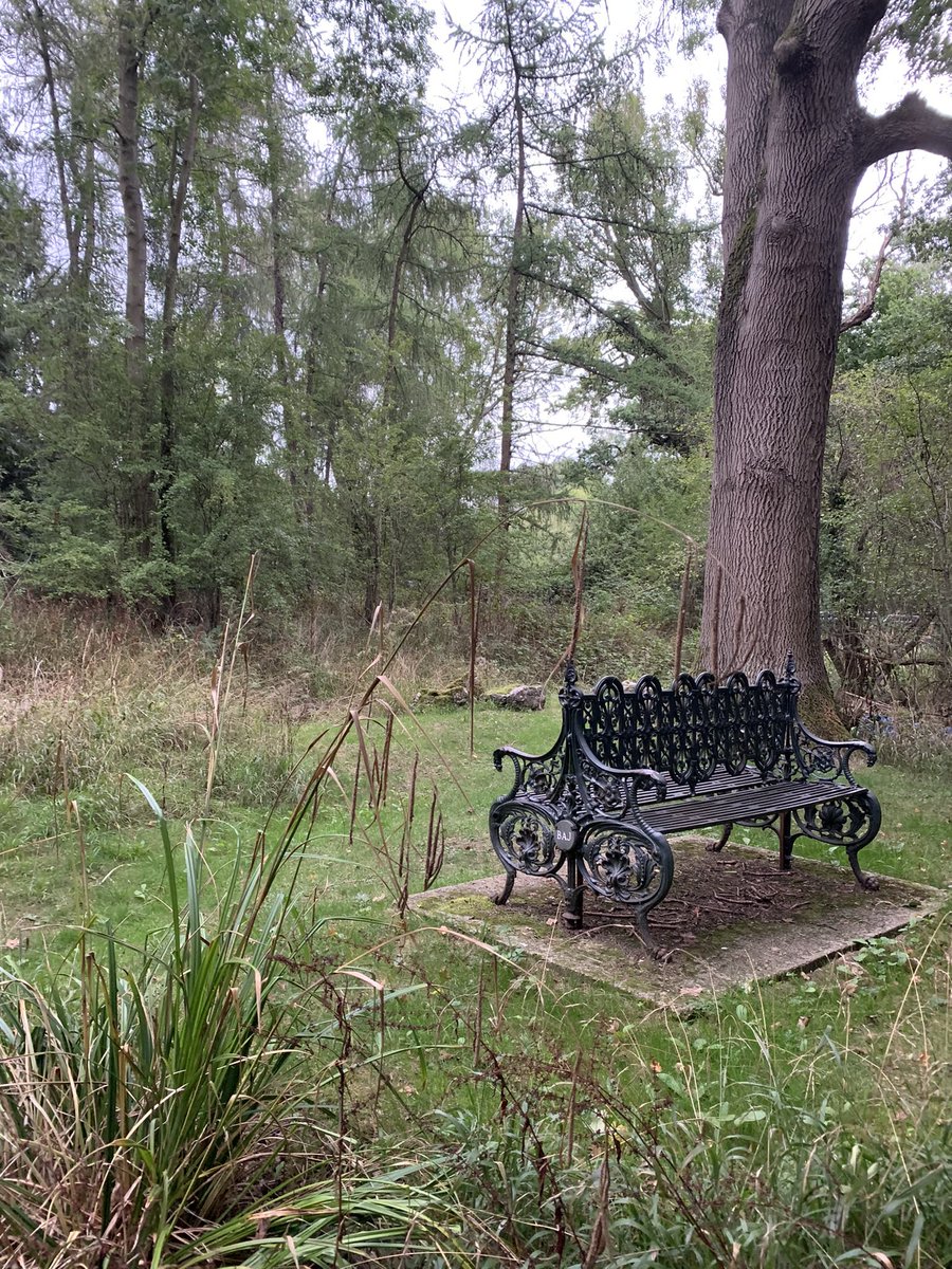 RobertRankine's tweet photo. Ok,as it’s #randomday , I’m just going to sit on my bench in my forest and post random shit, all my random shit , no explanations, Art/Photography , just because….. so for all my14 followers (the rest seem to be busty bot people) enjoy…or not.
#NFTfam #photography #nftart https://t.co/N2YFiCEEyI