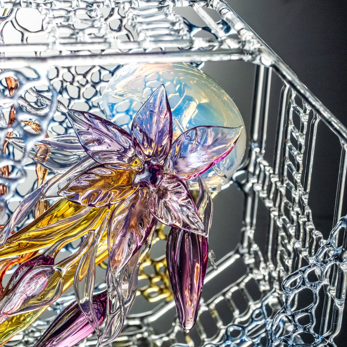 kurokabe_studio's tweet photo. 「樫田睦・齋藤直 二人展 花鳥風月 ガラスの色彩」開催中です✨

会期：8/5〜8/27
会場：黒壁2号館 エクラン(ガラス館南)
時間：10時〜17時

26日、27日は、
作家の樫田睦さん、齋藤直さんが
お越しです♪
この機会にぜひお運び下さいませ✨

黒壁オンラインショップもぜひ😊
https://t.co/7sMJcBBh5O https://t.co/EAd132GdG4