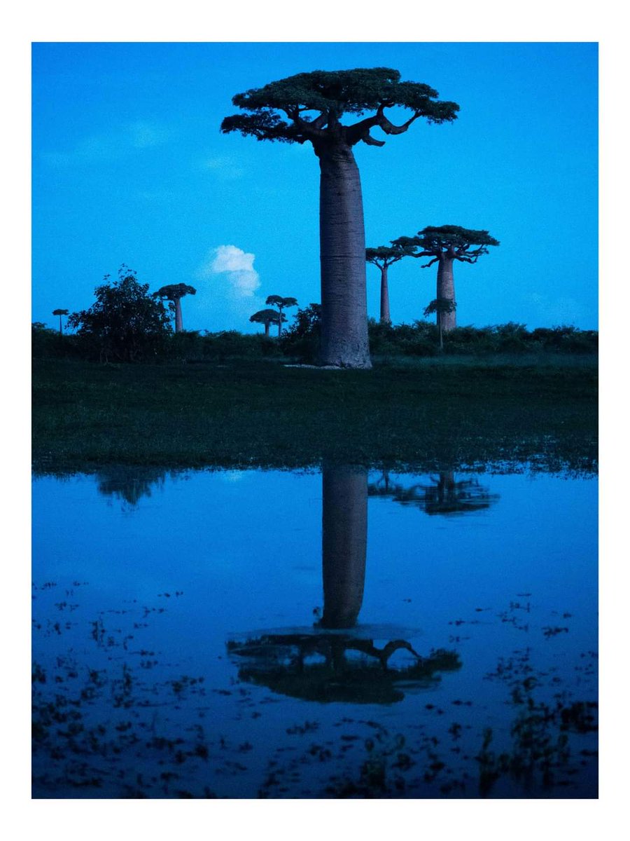 PerezVidall's tweet photo. Très grande tristesse d'apprendre le décès du photograp #DenisRion. Il était venu en 2022 au Mozambique pour faire un reportage sur les métiers des femmes dans le delta de l'Incomati avec @ird_fr et le soutien de @FranceMaputo.
Il avait l'Afrique et l'Océan Indien au cœur! 🙏 https://t.co/q975IaaxbK