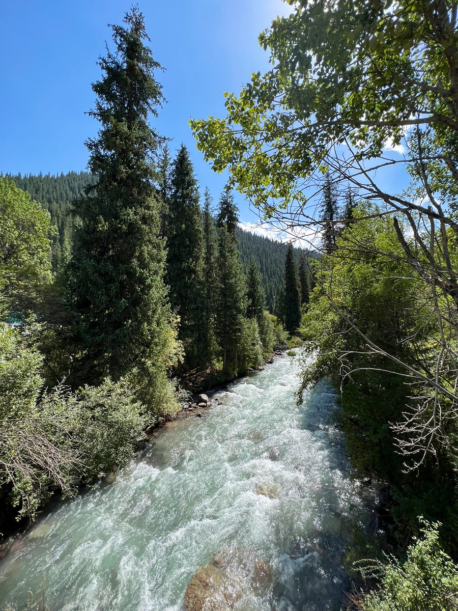 Тургеньское ущелье - Алматинская область 🏞️