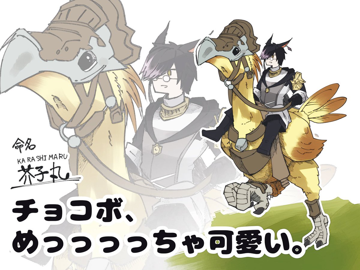 そしてこれはジャンプの存在すら知らなかった若葉が遂にチョコボをお迎えした瞬間。(再掲) 