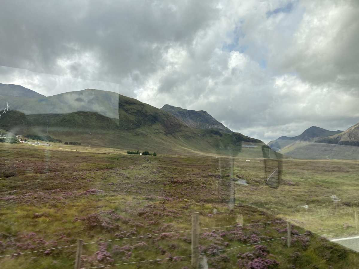 ChrystonFoodTech (@chrystonftt) on Twitter photo 