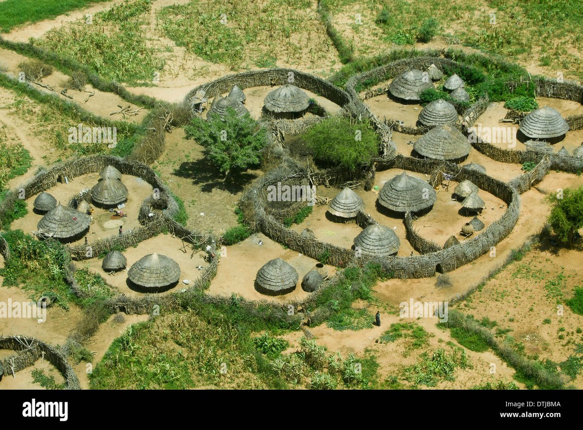 IsaPiusBrax's tweet photo. Imagine all these grass-thatched houses covered with solar panels; that would be a #SolarPunk homestead or community.
What a self sustained community it would be!
#SolarPunkUganda https://t.co/czmscm6pud