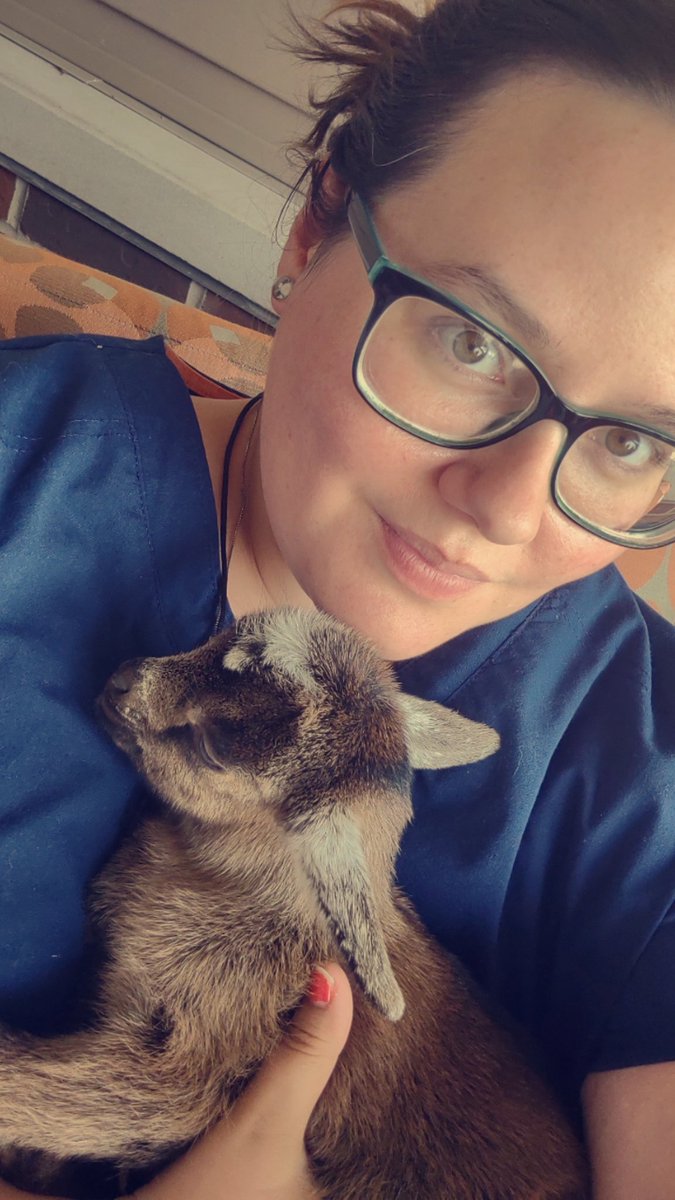 LifeWith_Samm's tweet photo. And I got to hold #babygoats https://t.co/N0Gjj2t6xu