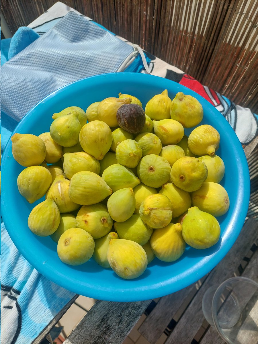 anam222's tweet image. #sohelpmeGod