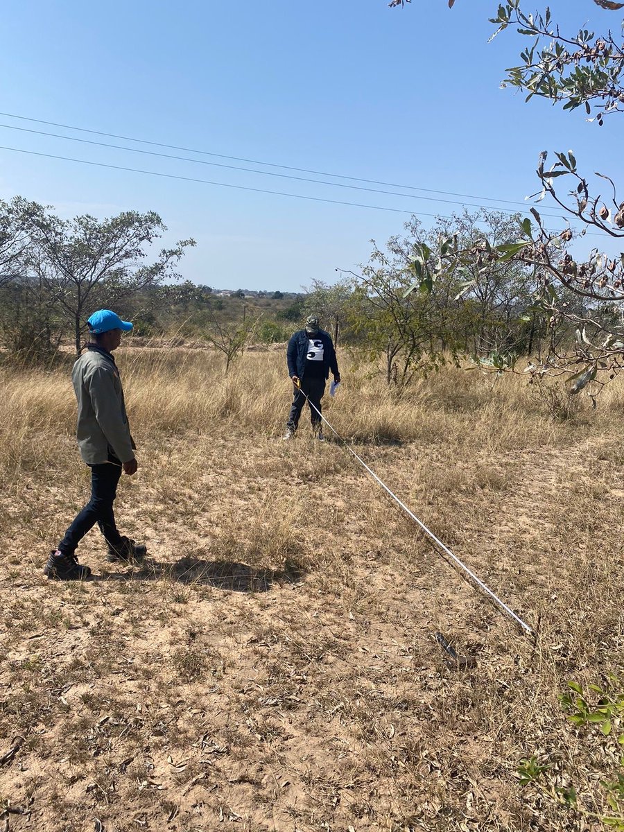 meatnaturallySA's tweet photo. Work started on a slab for MN Kruger Meats new mobile abattoir operations near Acornhoek.
This will enable market access for communities living adjacent to the Kruger National Park. In partnership with @ConservationSA_ , Kruger to Canyons Biosphere Region, @sabfoundationsa &amp; IDC. https://t.co/KgE6ryF6qo