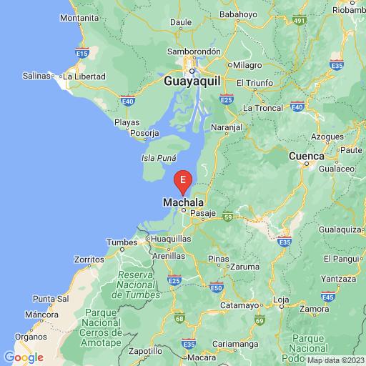 Instituto Geofísico tweet media