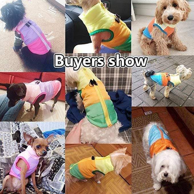 WingrowIndustry's tweet photo. For PET LOVERS
Puppy vest Teddy Jacket
#uk #wingrowindustry #handmade #pets #petlovers #petloversclub #petcat #PetKitten #petdogs #petjacket #petanchorcolor https://t.co/51esDMKp8p