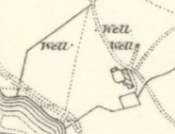 Grace Wright tweet media