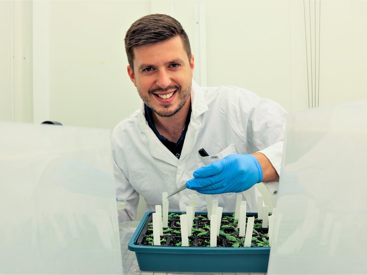 theGRDC's tweet photo. Australian researchers have discovered 3 genes associated with resistance to #sclerotinia stem rot, marking a major step towards developing improved disease-resistant #canola varieties for growers. https://t.co/1pKVP6sLUj

@theCCDM @CurtinUni @nswdpi @AAFC_Canada https://t.co/nFUDRBXVvT