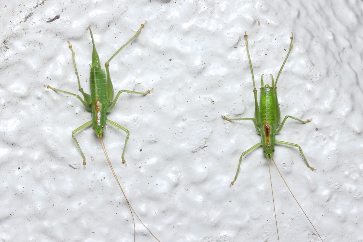 破局前に撮れたハダカップル(笑)