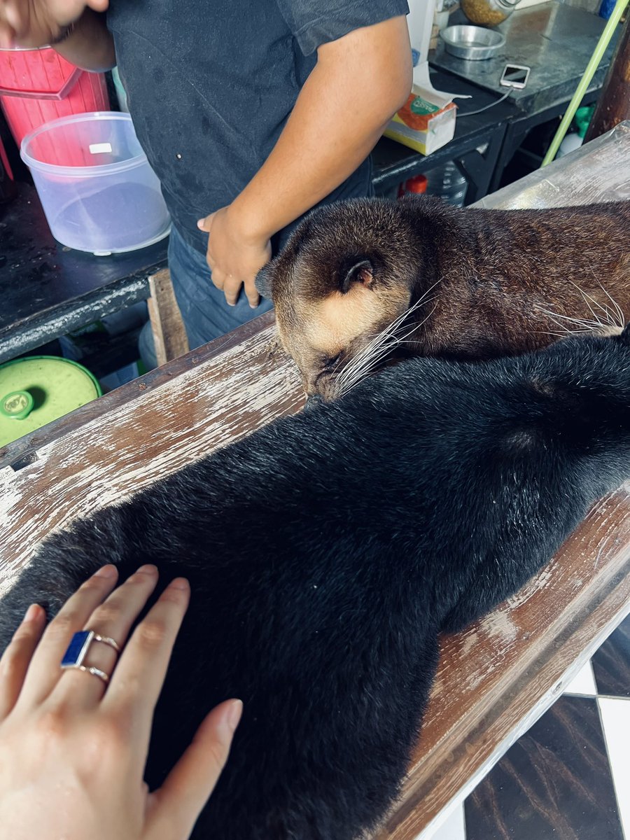 progressupdate_'s tweet image. Tomorrow is another day.