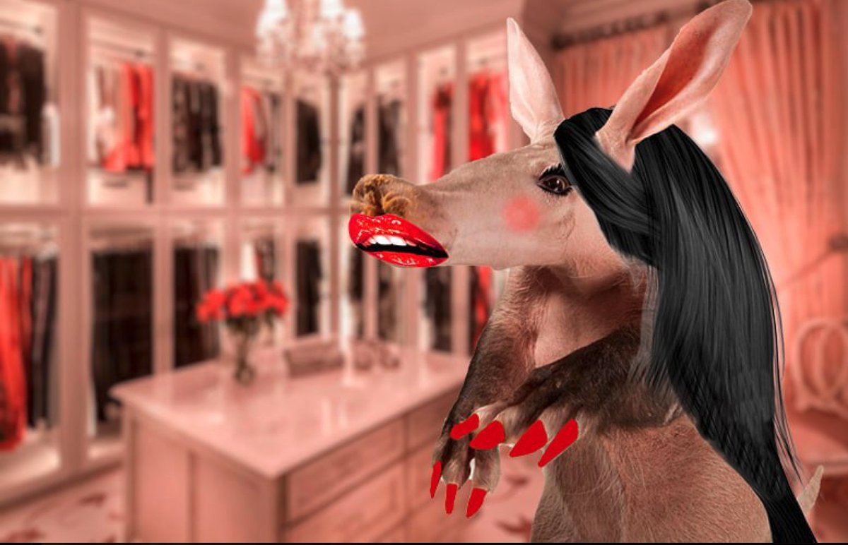 AardvarkCoin's tweet photo. New week, New me... Same old ants to be fkd.

Got my slooping lips on and ready for some action, come at me ya filthy insects. 

$ARDVRK https://t.co/vQoZw4euHI