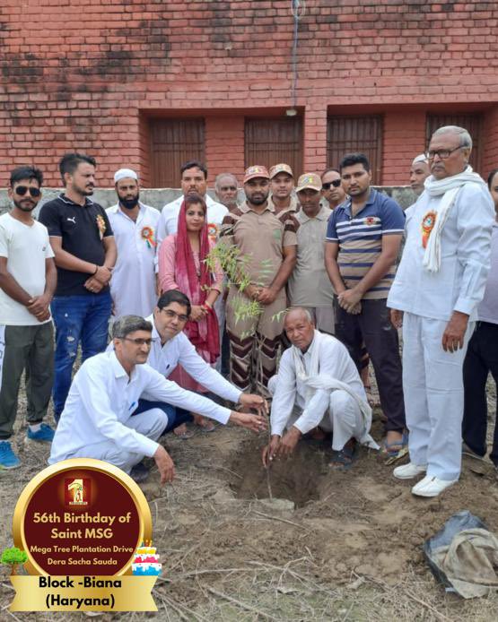 DSSNewsUpdates's tweet photo. To a brighter, greener future, inspired by 56 years of Saint Dr. MSG's teachings. 🌳Tree Plantation By DSS Volunteers from Biana, Haryana on the occasion of Saint Dr. MSG's Birthday. #56thBirthday #SaintDrMSG #DeraSachaSauda #TreePlantation https://t.co/fedABj0x8K