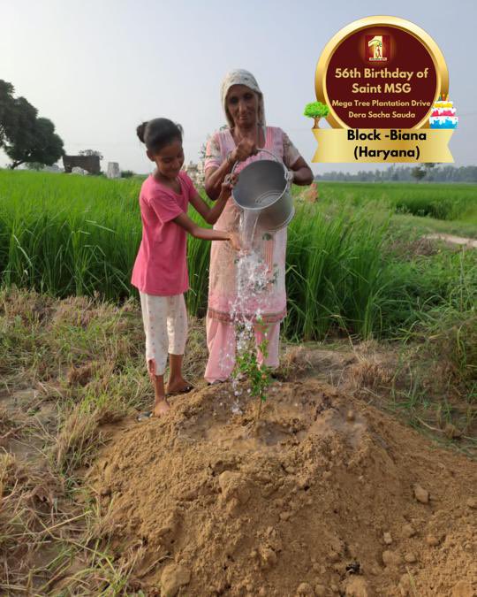 DSSNewsUpdates's tweet photo. To a brighter, greener future, inspired by 56 years of Saint Dr. MSG's teachings. 🌳Tree Plantation By DSS Volunteers from Biana, Haryana on the occasion of Saint Dr. MSG's Birthday. #56thBirthday #SaintDrMSG #DeraSachaSauda #TreePlantation https://t.co/fedABj0x8K