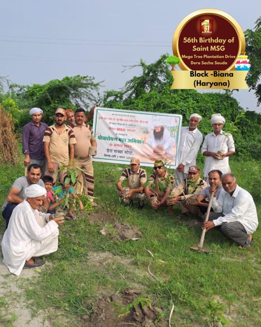 DSSNewsUpdates's tweet photo. To a brighter, greener future, inspired by 56 years of Saint Dr. MSG's teachings. 🌳Tree Plantation By DSS Volunteers from Biana, Haryana on the occasion of Saint Dr. MSG's Birthday. #56thBirthday #SaintDrMSG #DeraSachaSauda #TreePlantation https://t.co/fedABj0x8K