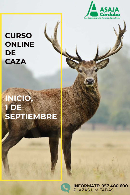 ASAJACORDOBA's tweet photo. Curso de licencia de #caza #online
Inicio, 1 de #septiembre
Llámanos e infórmate
☎️957 480 600 https://t.co/KBfvnl5QXU