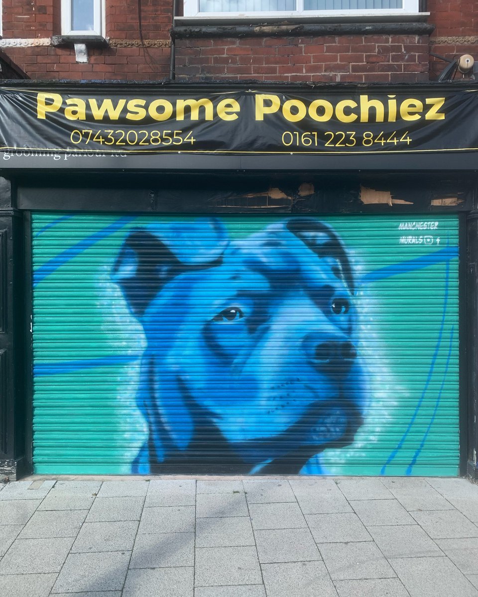 MCRMurals's tweet photo. Recent commission for Pawsome Poochiez in Reddish. Painted as part of the Urban Fronts project.

#urbanfronts #dogart #reddish #reddishart #stockport #stockportart #pawsomepoochiez #manchestermurals #art #artmanchester #muralmanchester #mural #spraycanart #muralart https://t.co/ugZbC8VxEY