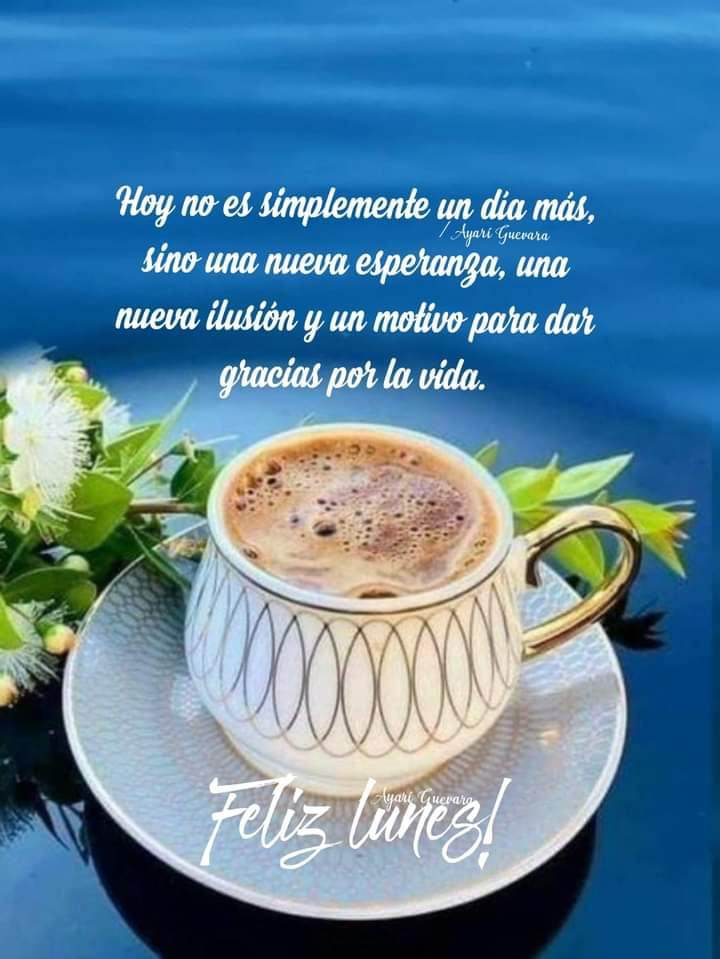 espinalg25's tweet image. Nueva semana ,Nuevas fuerzas 🙌🏽 #Bendiciones