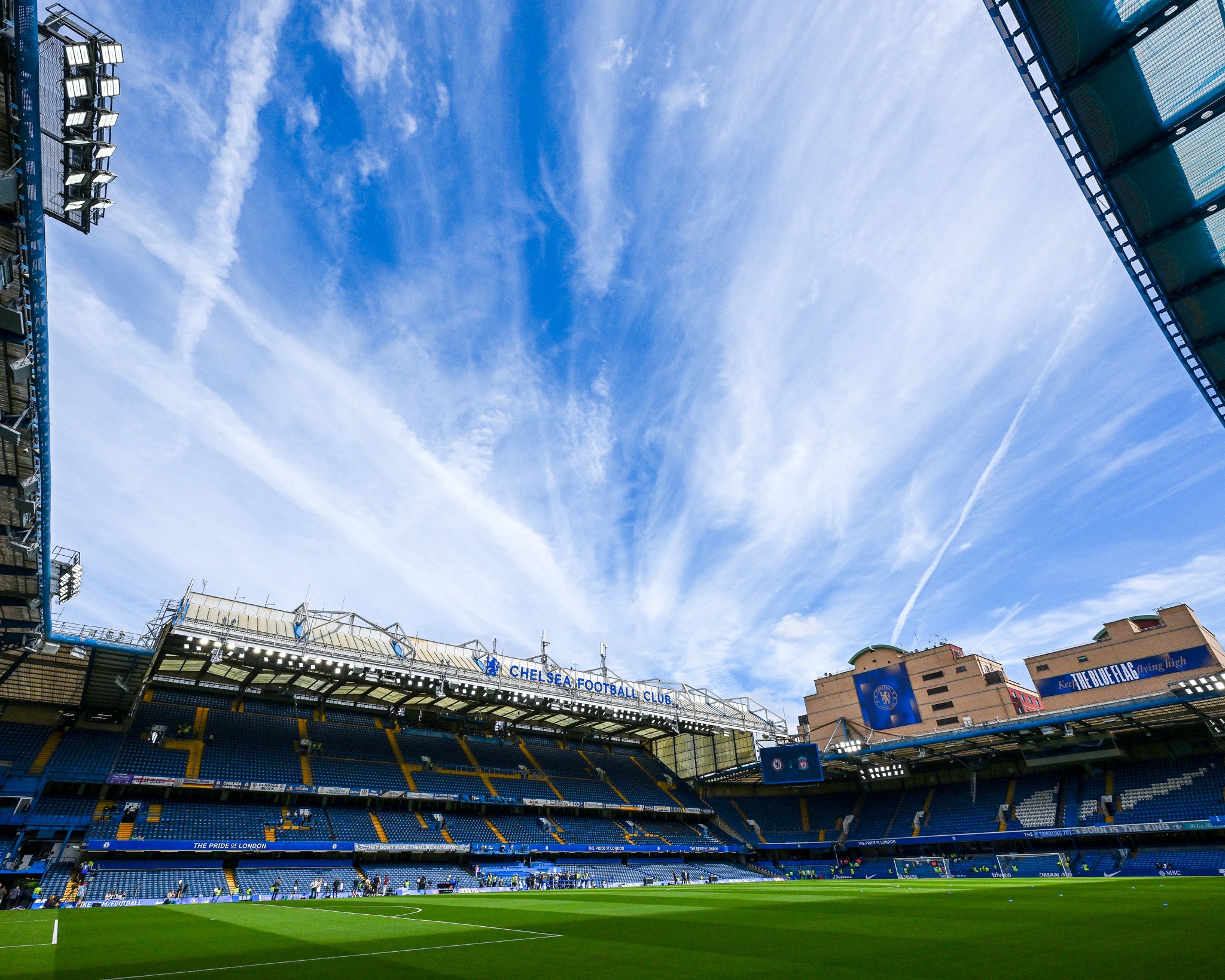 Chelsea FC - Pride of London, Todd