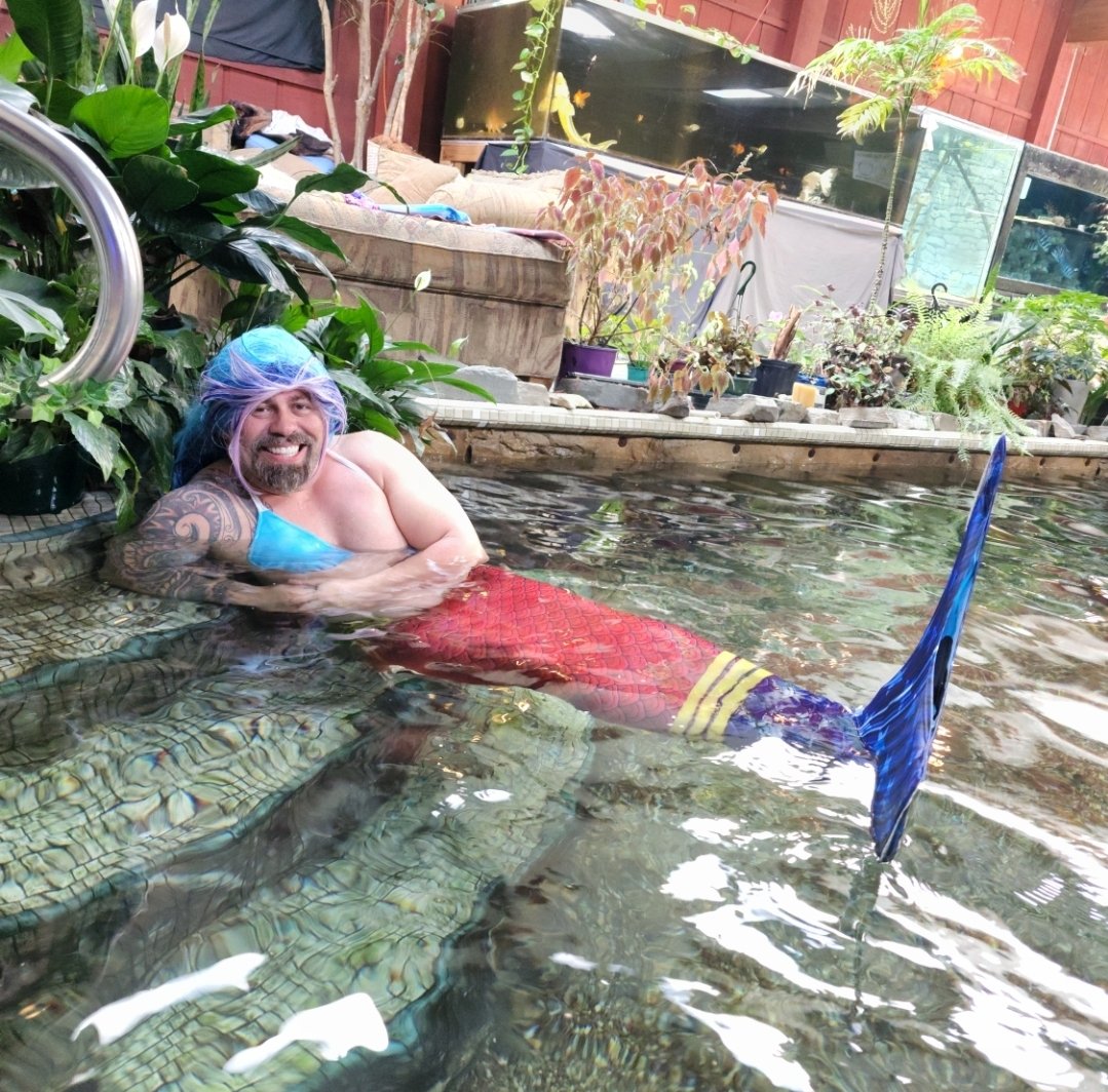 ohiofishrescue's tweet photo. Repost if you think this mermaid is cute 😍 😂  #mermaid #fish https://t.co/8DiioJHPuH