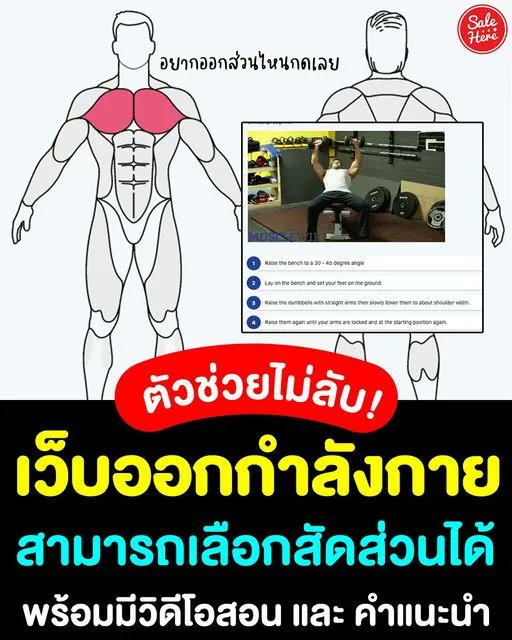 salehere1's tweet photo. 📣 เทรนเนอร์แบบส่วนตัว! #เว็บช่วยออกกำลังกาย 🏋‍♀ เลือกสัดส่วน บริเวณ จุดที่ต้องการออกได้ มีทั้งแบบผู้ชายและผู้หญิง พร้อมคลิปวิดีโอสอนการออกกำลังกายที่ถูกวิธี 
📌ดูรายละเอียดเพิ่มเติมได้ที่ >> https://t.co/KJ5qsCgbWz 
#SaleHere #เซลเฮียร์ https://t.co/O3tWH4Ygpo