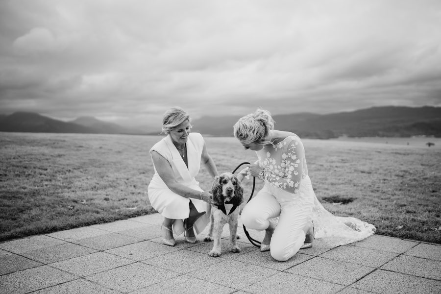 Emma Dodds tweet media