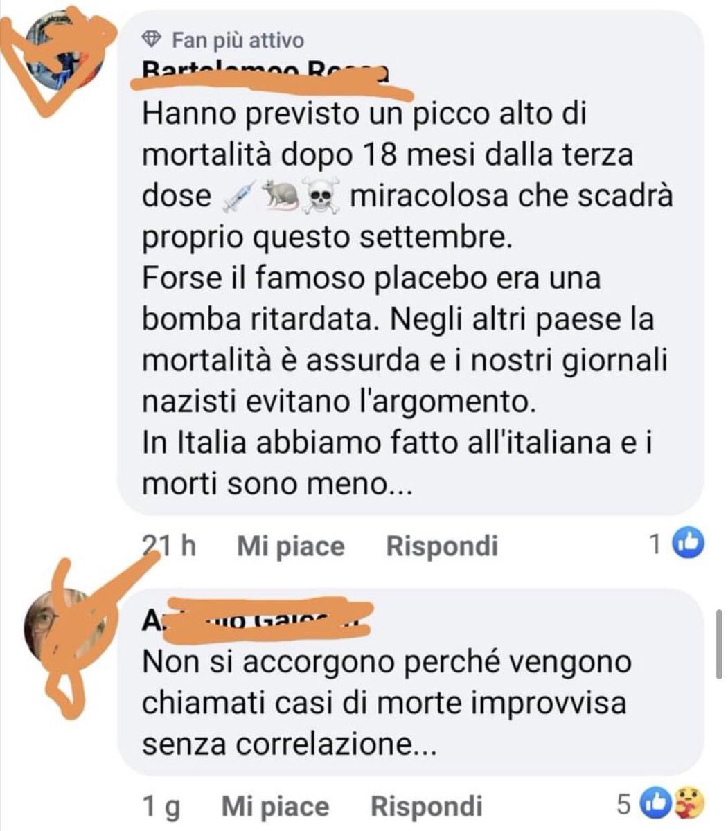 LaBombetta Rettiliana ™️👽 tweet media