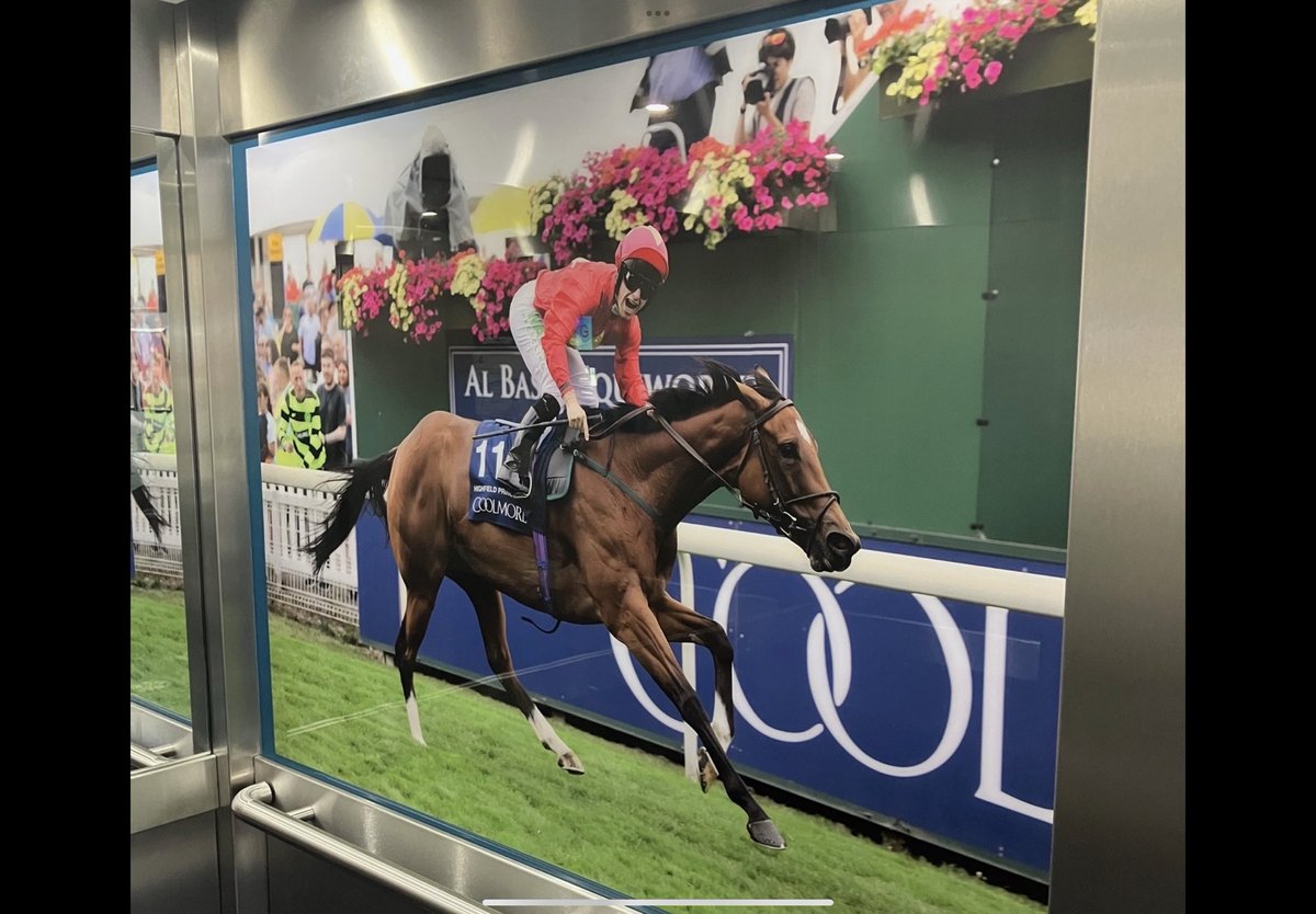 What a sensational job completed <a href="/yorkracecourse/">York Racecourse</a>. The recent car refurb greets you in the knavesmire stand. Already impressive on arrival the racecourse has gone above and beyond to ensure your first experience starts the right way on the appearance of the lifts.