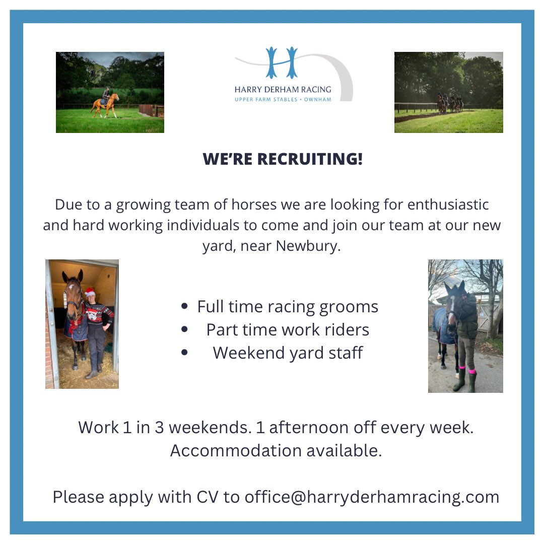 Due to a growing team of horses we’re looking for individuals to join our team. Please get in touch if interested. @careersinracing