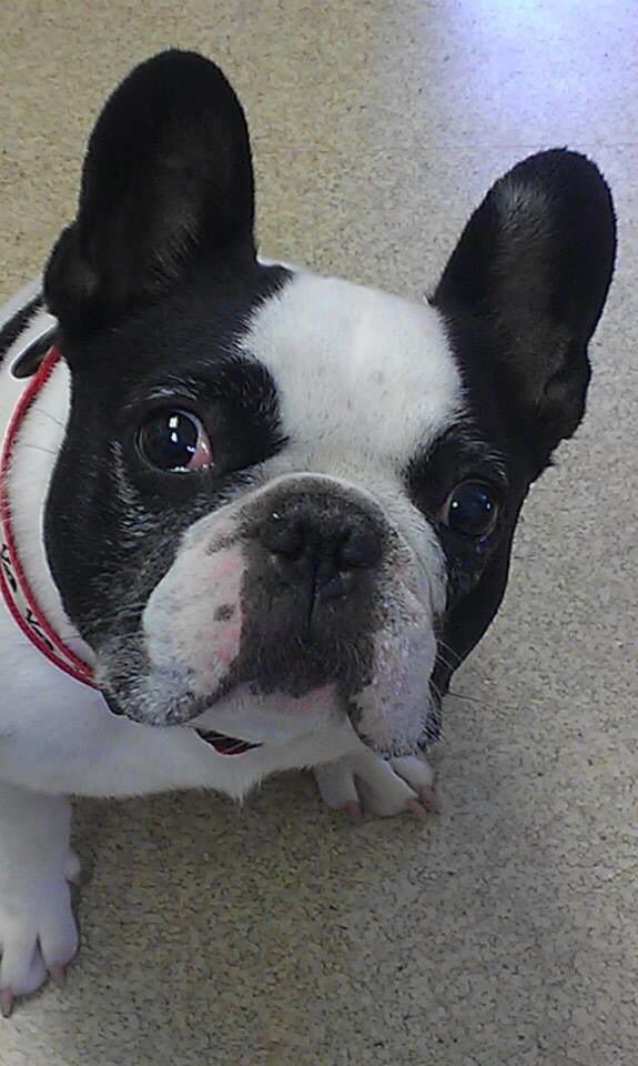 AskMisterRodney's tweet image. You would be 19 today . You are always in my heart and missed ❤️