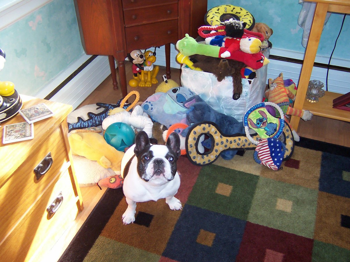 AskMisterRodney's tweet image. You would be 19 today . You are always in my heart and missed ❤️