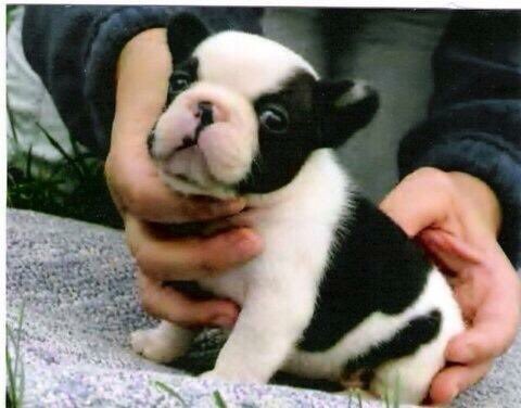 AskMisterRodney's tweet image. You would be 19 today . You are always in my heart and missed ❤️