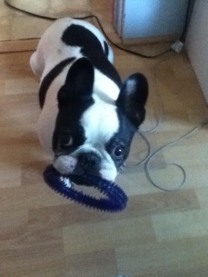 AskMisterRodney's tweet image. You would be 19 today . You are always in my heart and missed ❤️